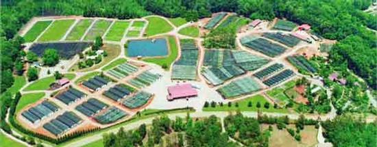 aerial shot of fields