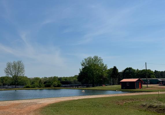 Pond