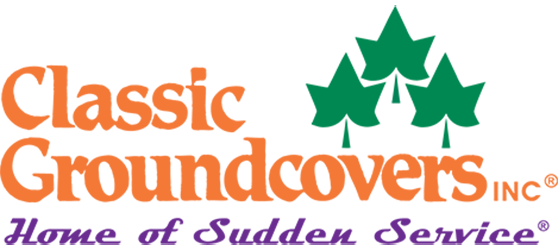 ClassicGroundcovers